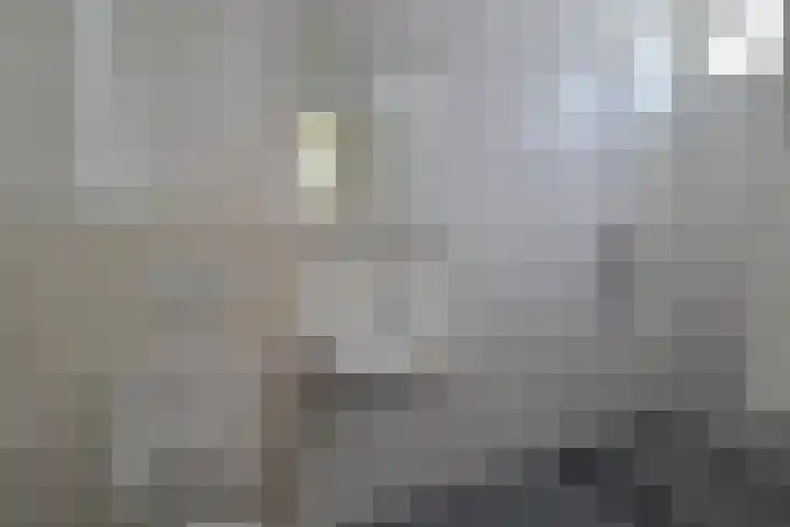 de Casembrootstraat 7 Westkapelle thumbnail 41