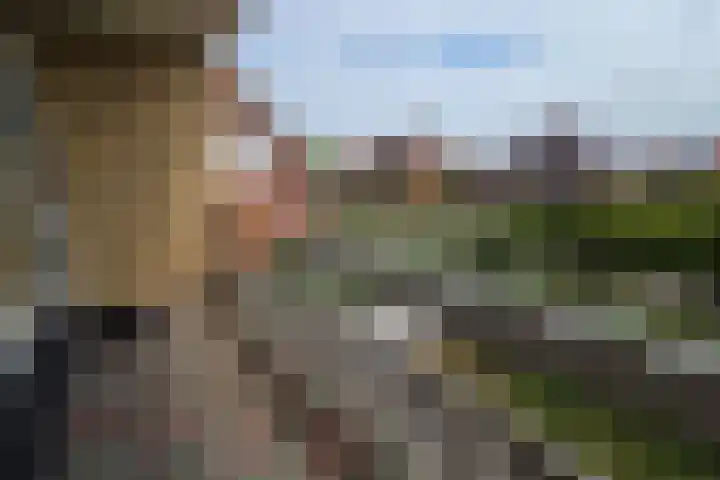 de Casembrootstraat 7 Westkapelle thumbnail 44