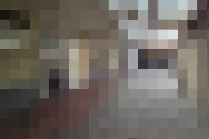 de Casembrootstraat 7 Westkapelle thumbnail 5