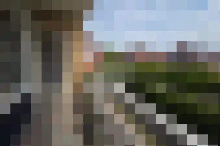 de Casembrootstraat 7 Westkapelle thumbnail 53