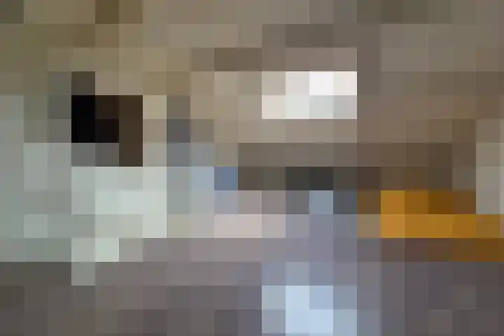 de Casembrootstraat 7 Westkapelle thumbnail 55