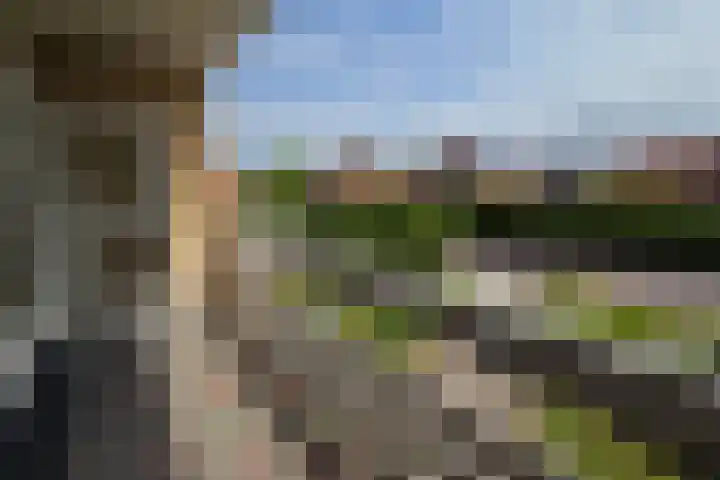 de Casembrootstraat 7 Westkapelle thumbnail 62