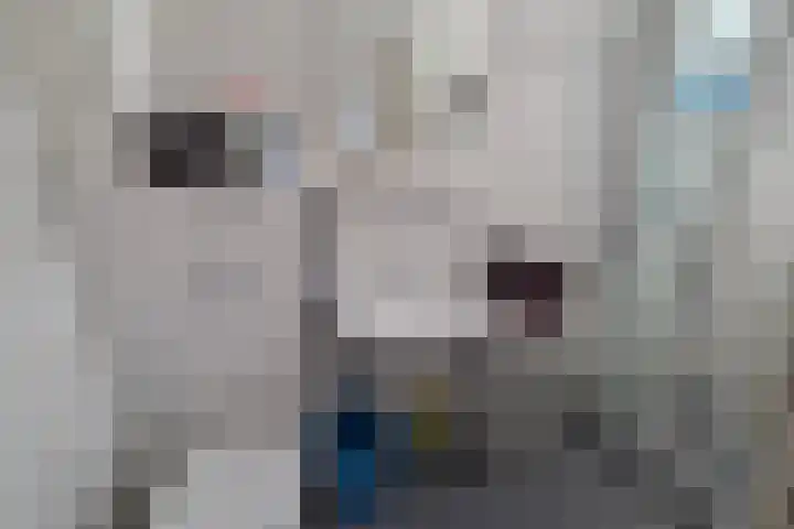 de Casembrootstraat 7 Westkapelle thumbnail 67