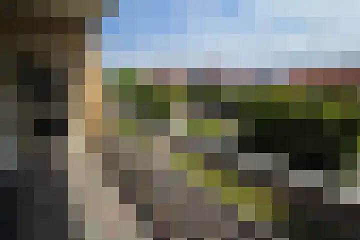 de Casembrootstraat 7 Westkapelle thumbnail 71