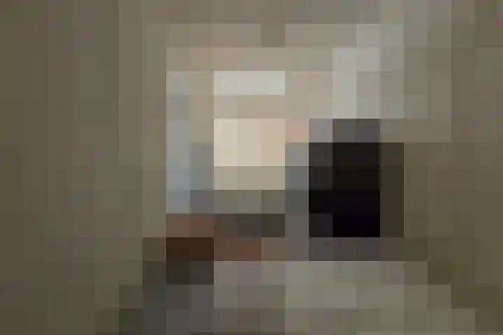 de Casembrootstraat 7 Westkapelle thumbnail 8