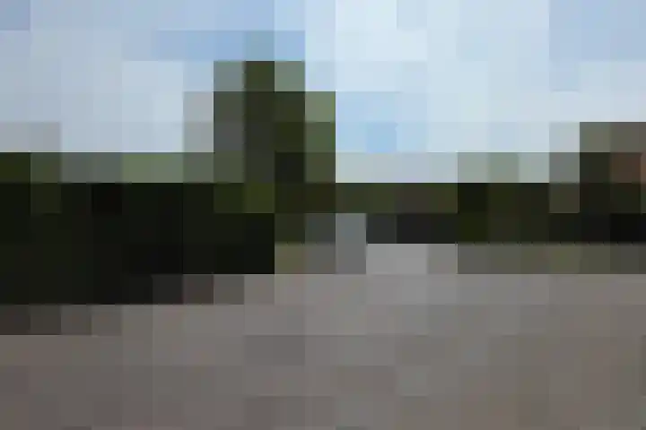 de Casembrootstraat 7 Westkapelle thumbnail 82