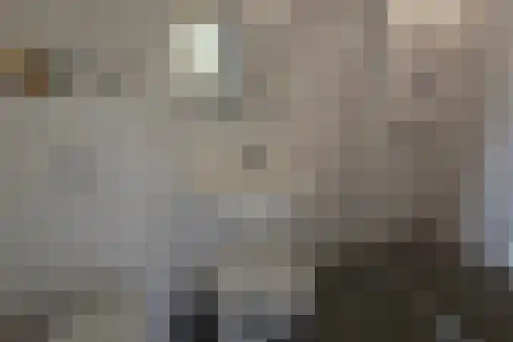 de Casembrootstraat 7 Westkapelle thumbnail 9