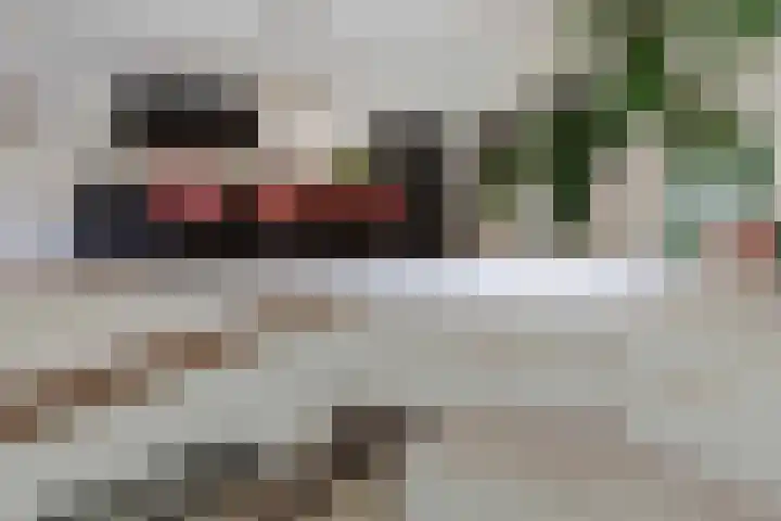 De Cassij 1 D 04 Maastricht thumbnail 12