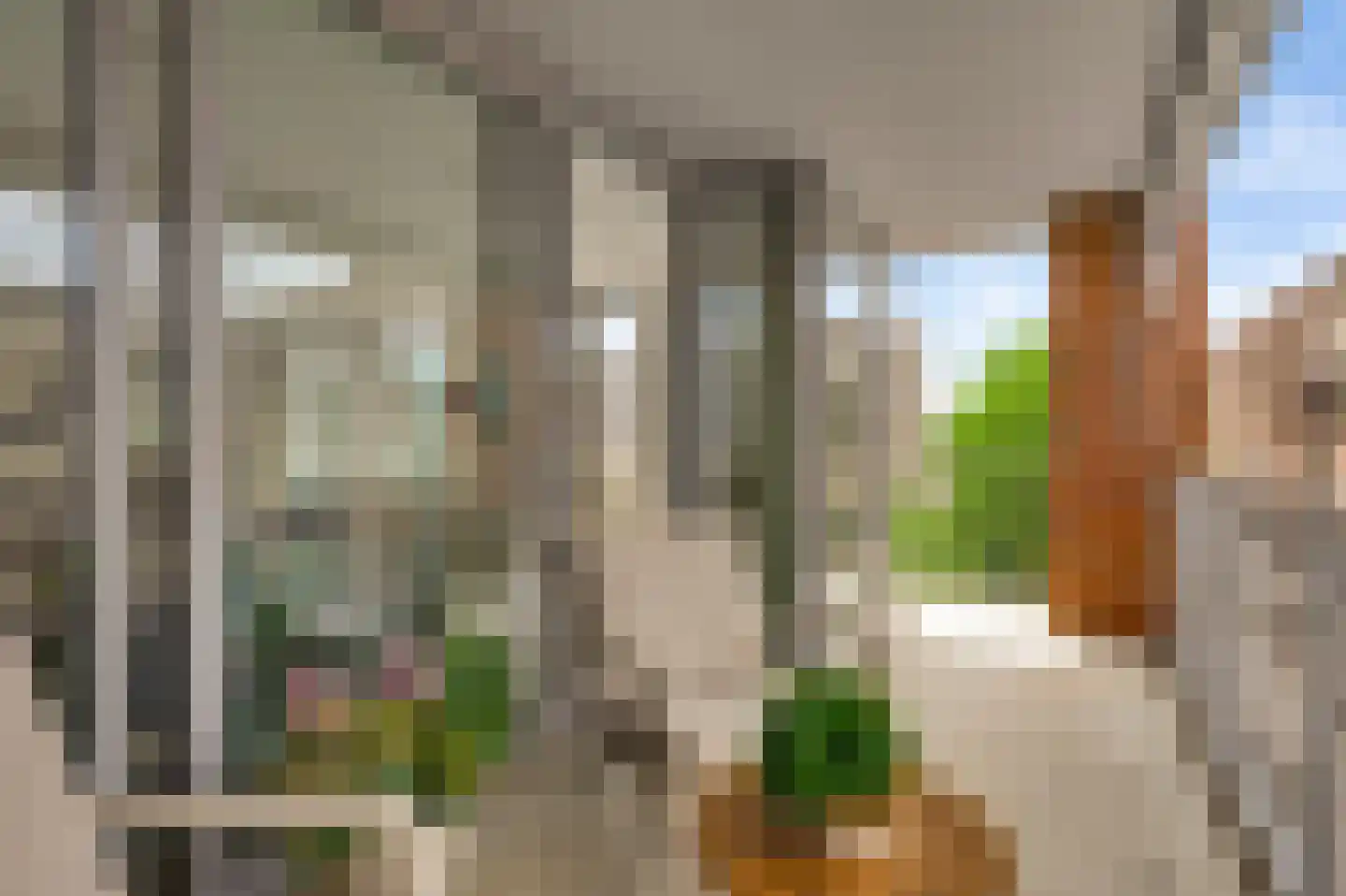 De Cassij 1 D 07 Maastricht thumbnail 6