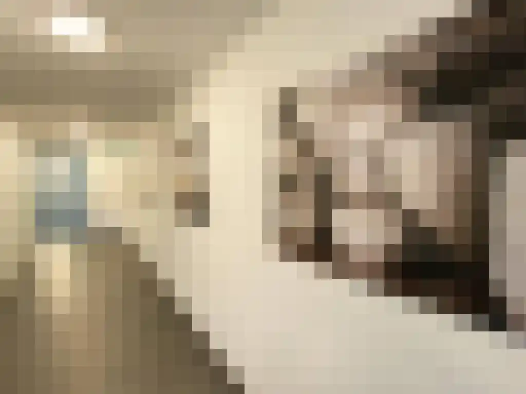 De Cassij 1 E 02 Maastricht thumbnail 5