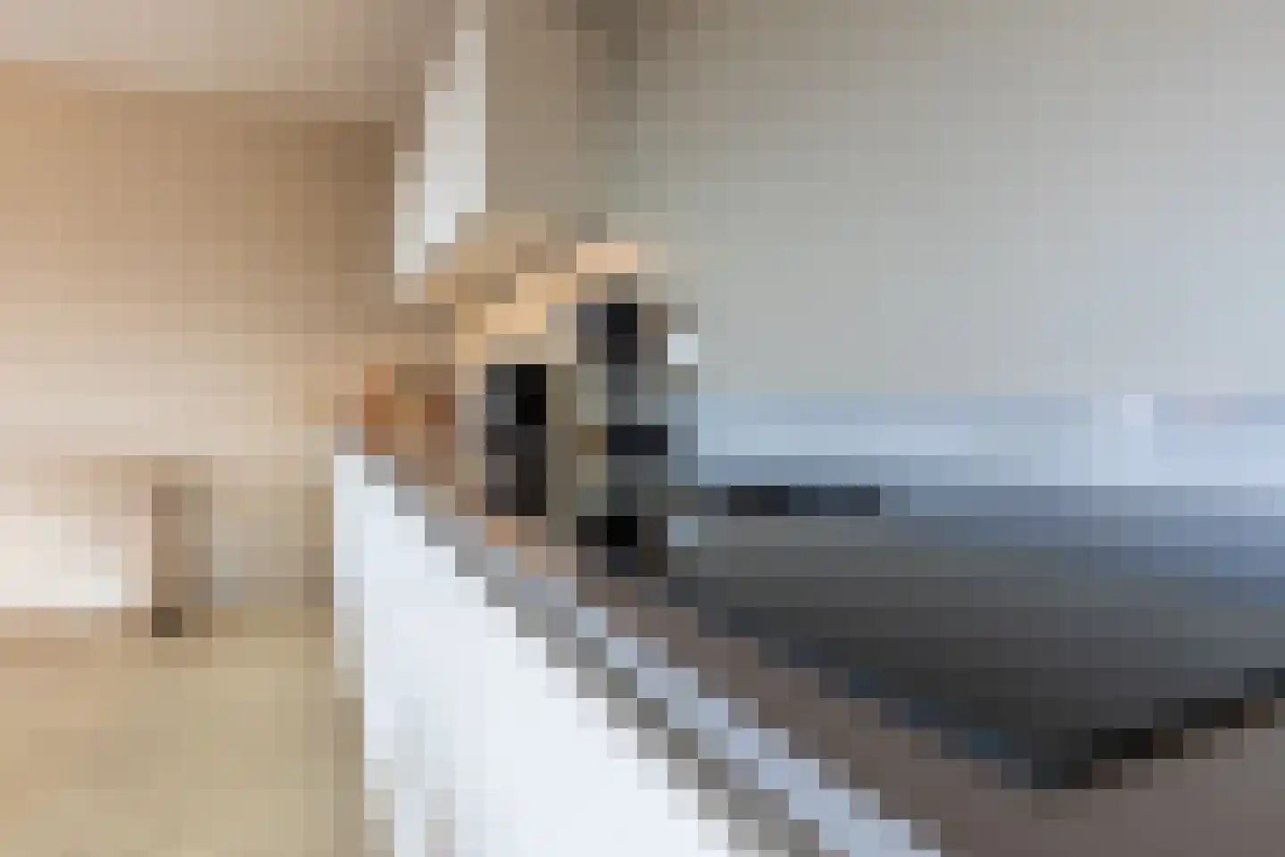 De Cassij 1 E 04 Maastricht thumbnail 10