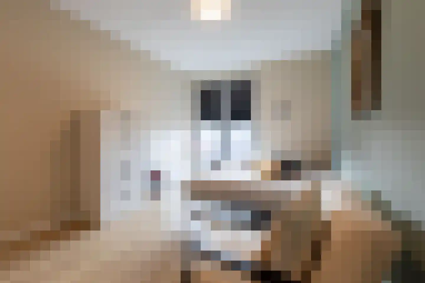 De Cassij 1 E 04 Maastricht thumbnail 15