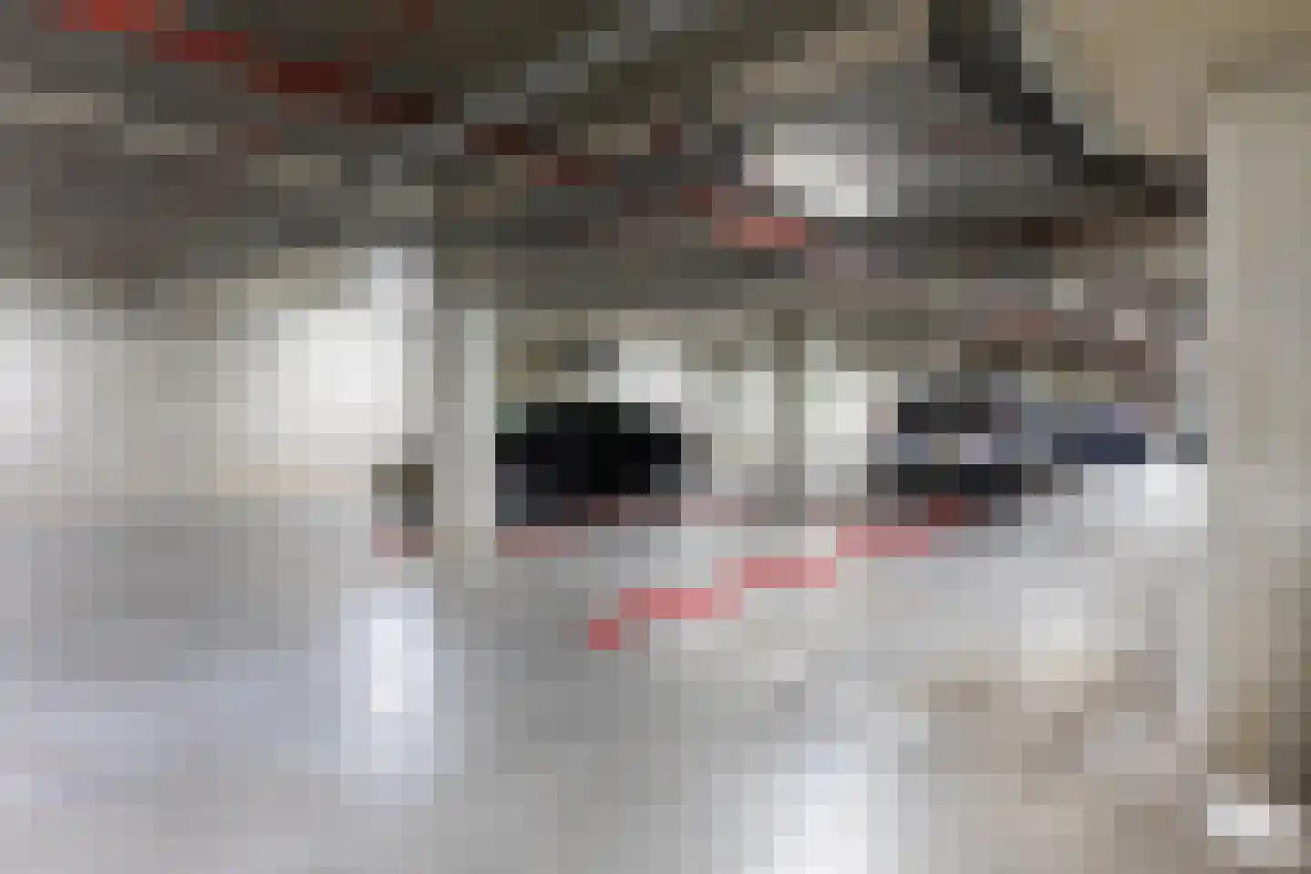 De Cassij 1 E 04 Maastricht thumbnail 19