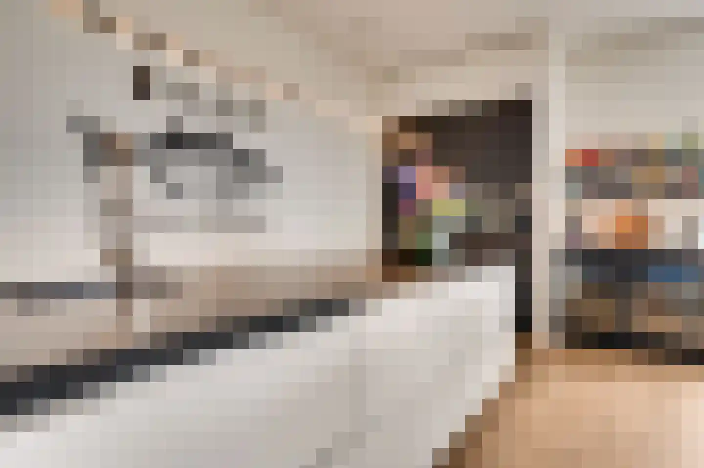 De Cassij 1 E 10 Maastricht thumbnail 11