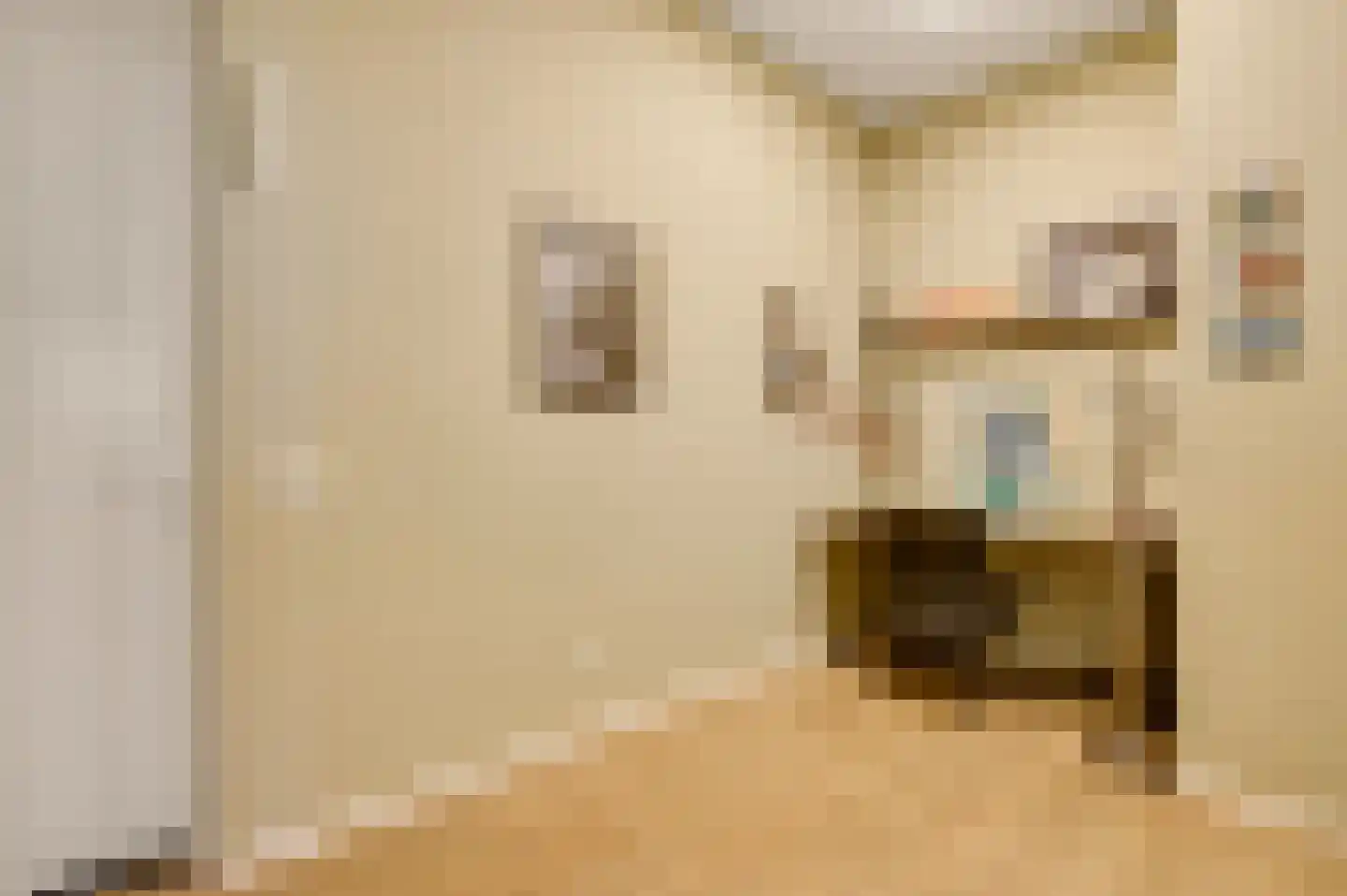 De Cassij 1 E 10 Maastricht thumbnail 13