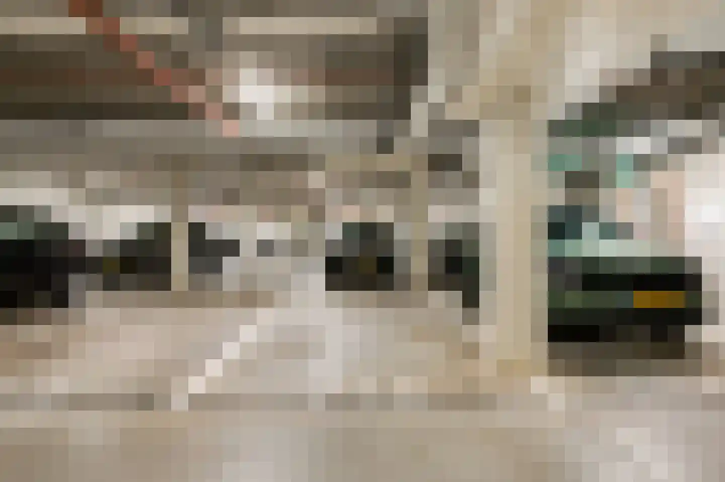 De Cassij 1 E 10 Maastricht thumbnail 22