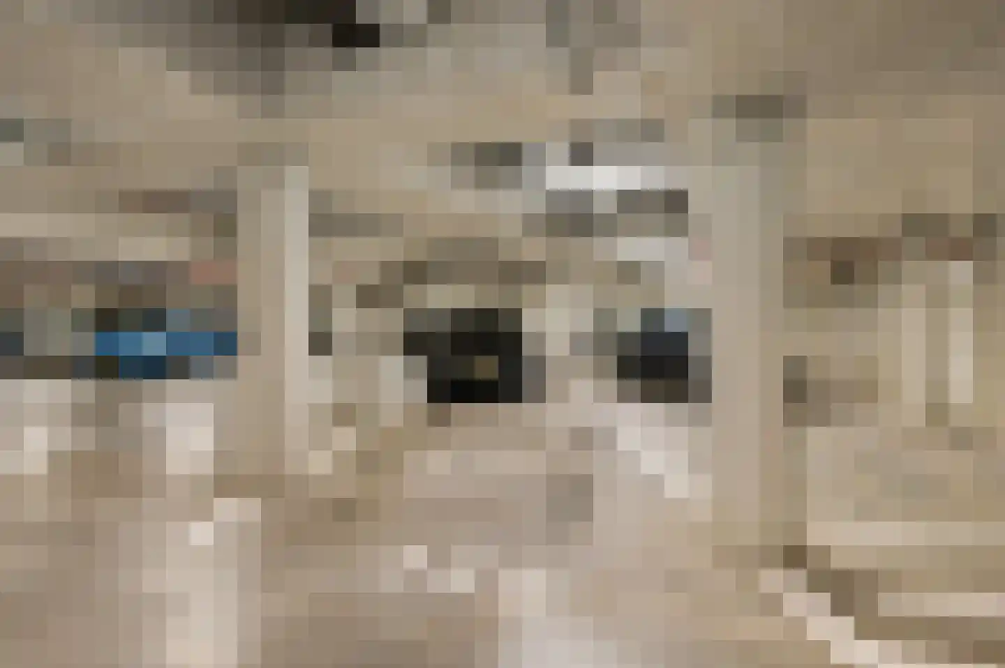 De Cassij 1 E 10 Maastricht thumbnail 23