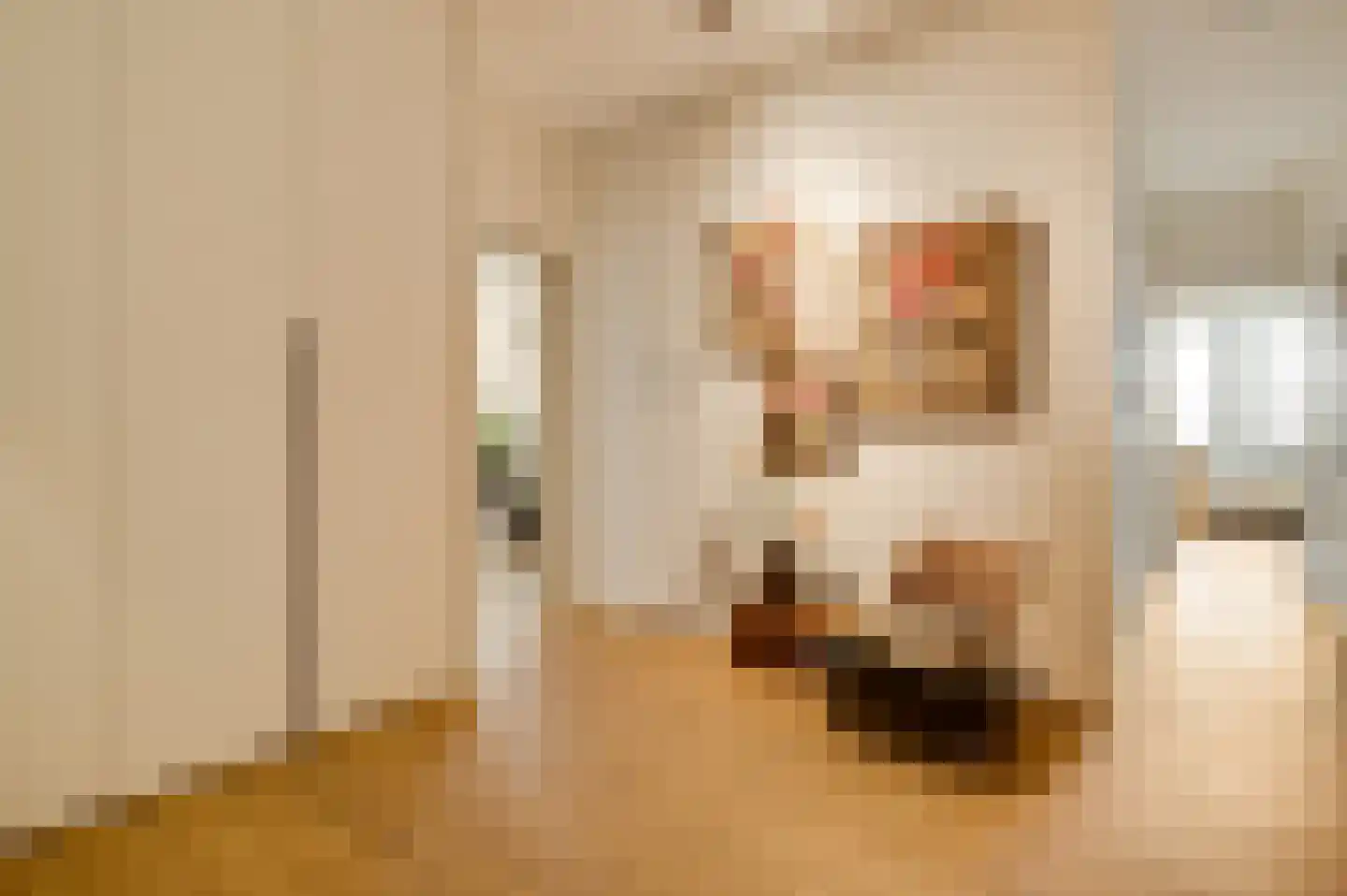 De Cassij 1 E 10 Maastricht thumbnail 4