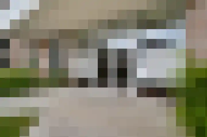 De Cassij 30 A 01 Maastricht thumbnail 5