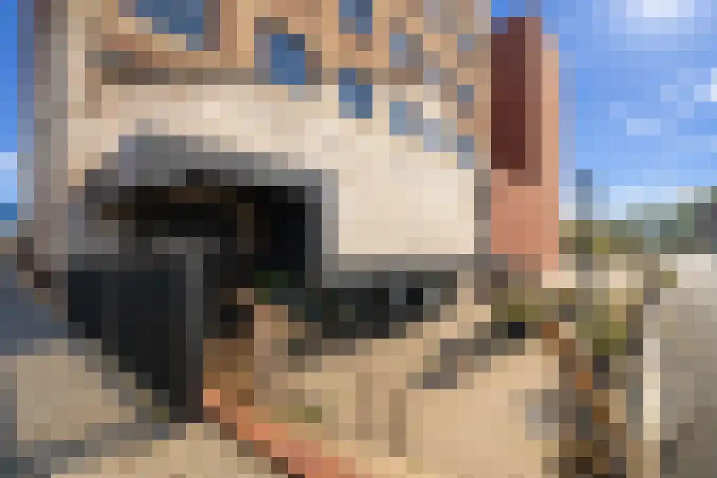 De Cassij 30 B 05 Maastricht thumbnail 19