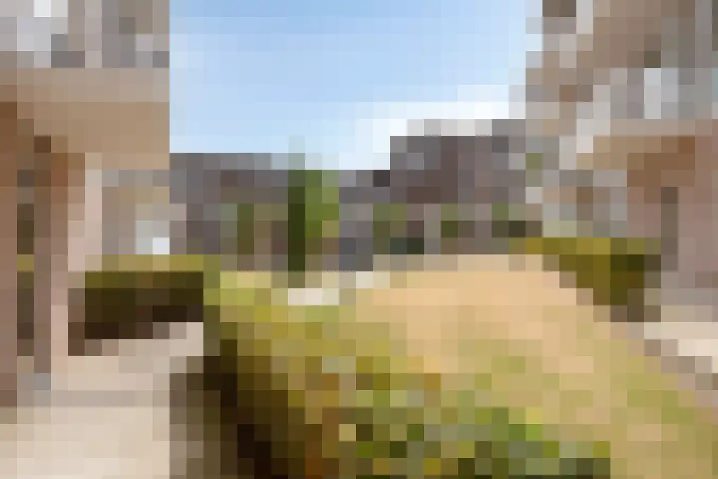 De Cassij 30 D 01 Maastricht thumbnail 22