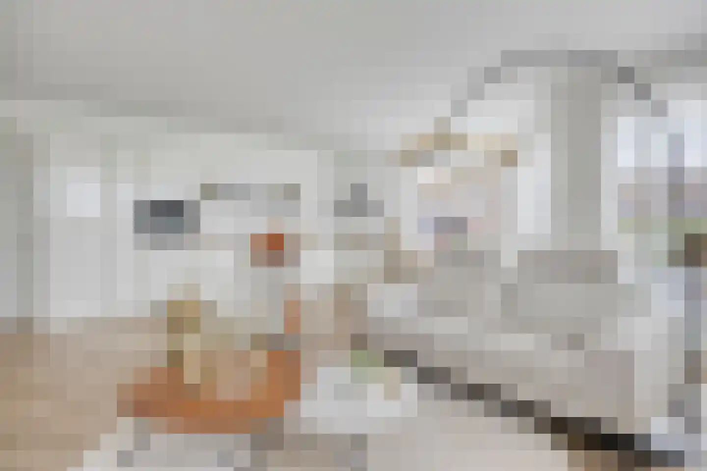 De Cassij 30 E 02 Maastricht thumbnail 12