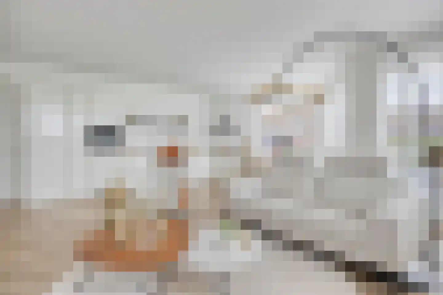 De Cassij 30 E 02 Maastricht thumbnail 13