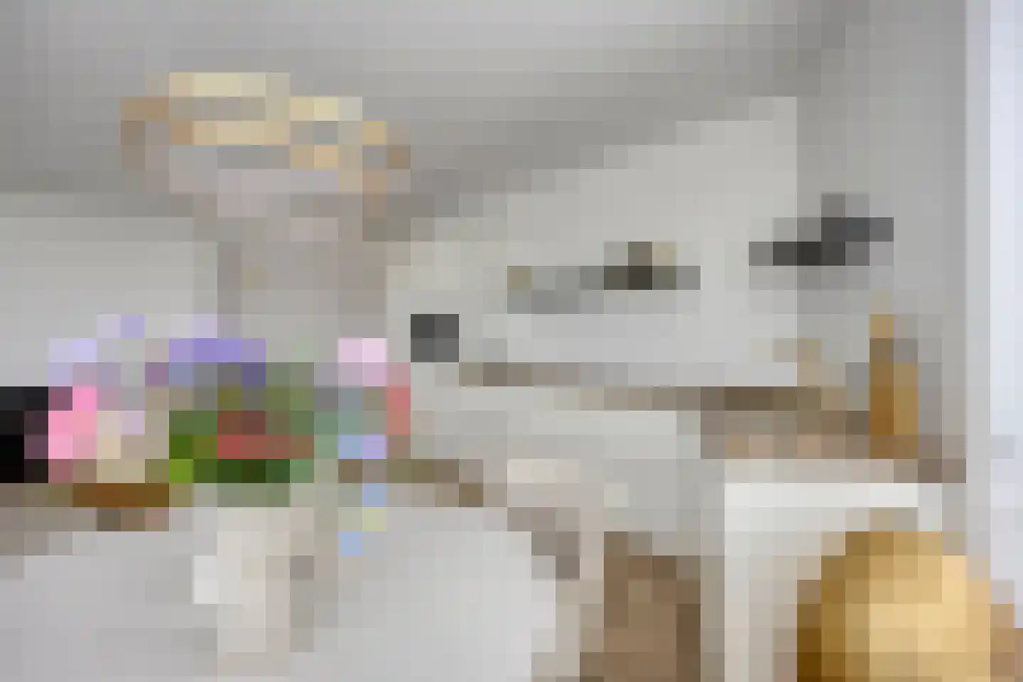 De Cassij 30 E 02 Maastricht thumbnail 18