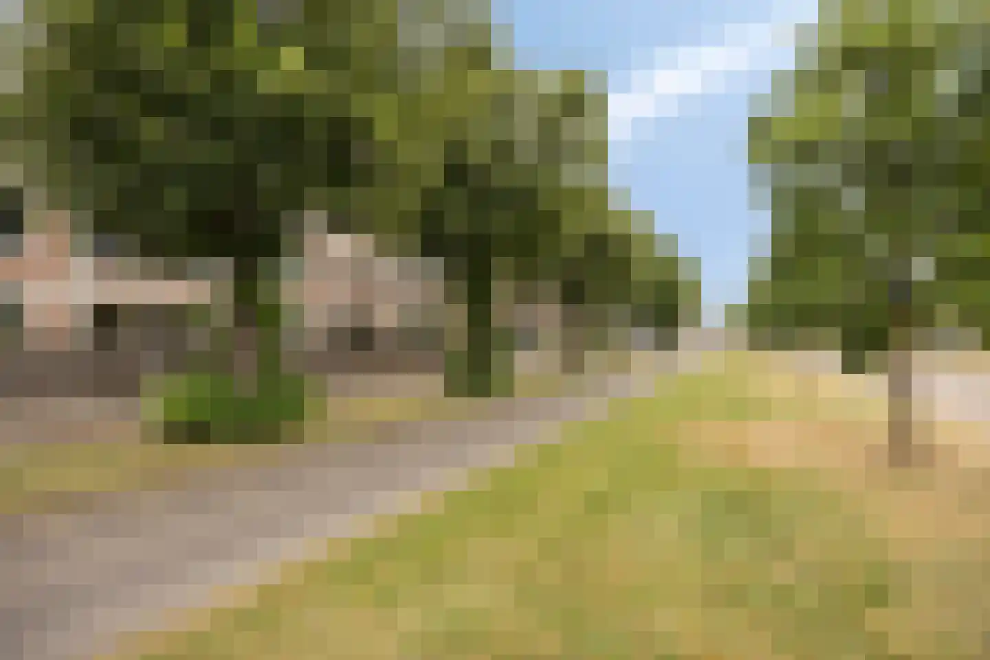 De Cassij 30 E 02 Maastricht thumbnail 42