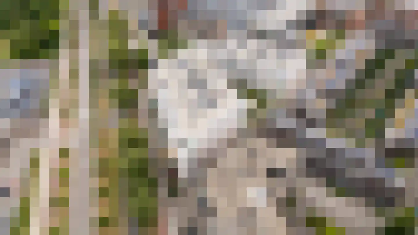 De Cassij 30 E 02 Maastricht thumbnail 54