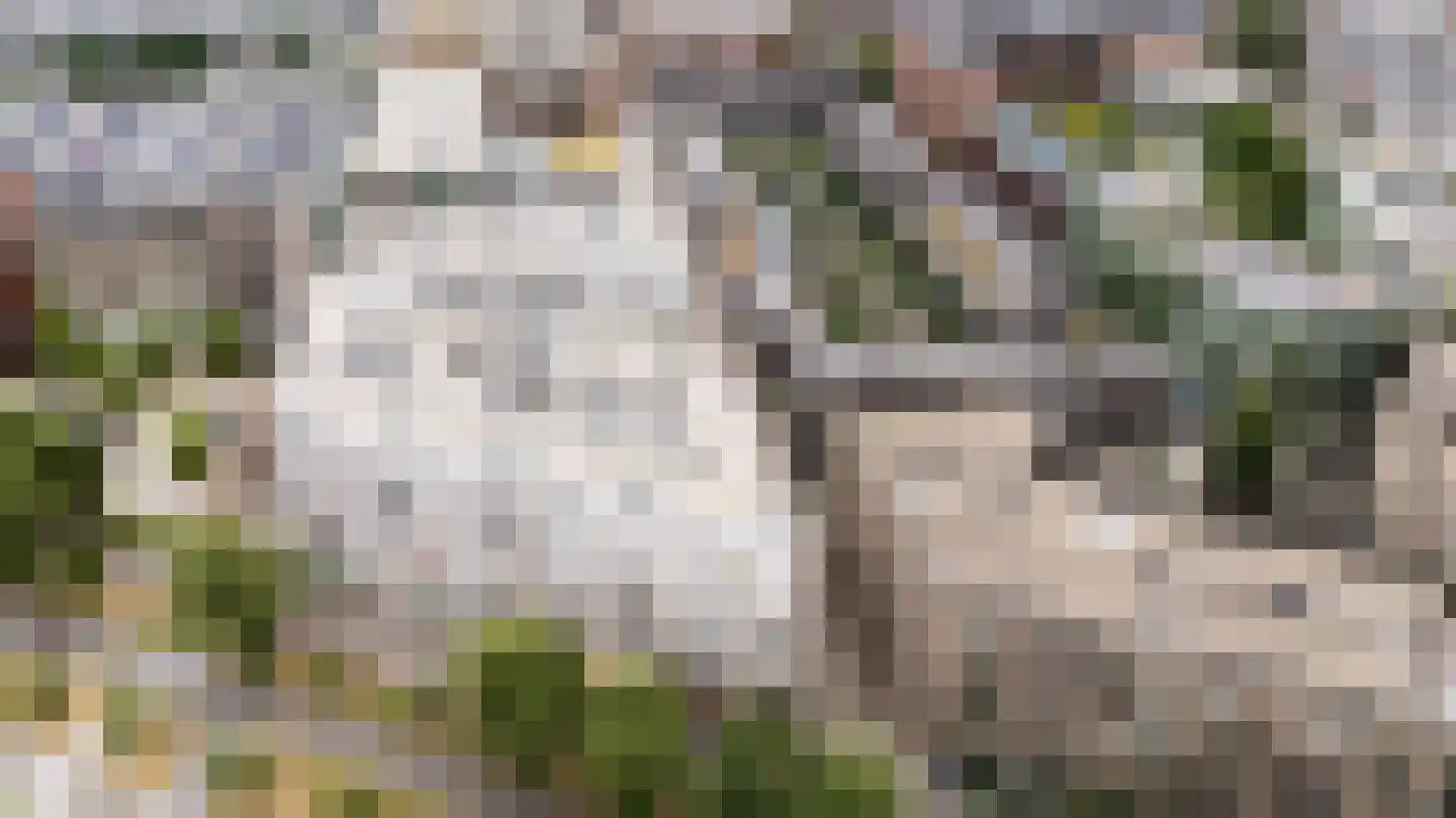 De Cassij 30 E 02 Maastricht thumbnail 55