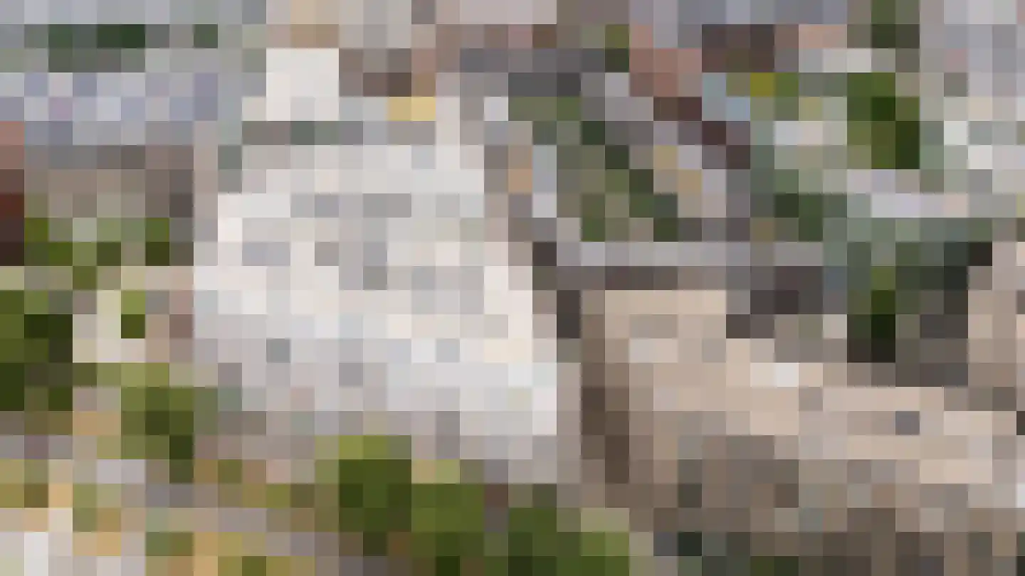 De Cassij 30 E 02 Maastricht thumbnail 56
