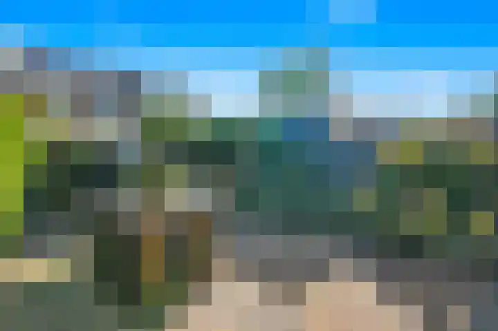 De Catoenboom 3 Amstelveen thumbnail 11