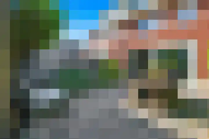 De Catoenboom 3 Amstelveen thumbnail 12