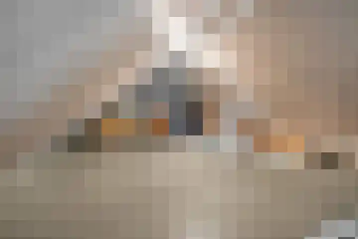 De Catoenboom 3 Amstelveen thumbnail 38