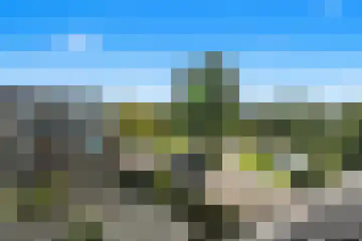 De Catoenboom 3 Amstelveen thumbnail 39