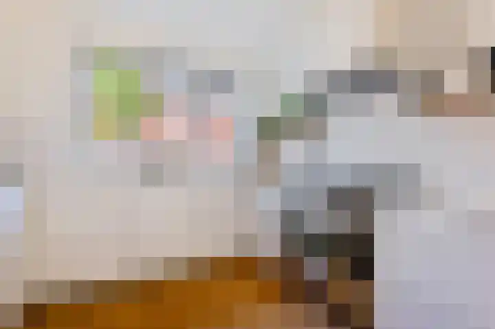 De Catoenboom 9 Amstelveen thumbnail 13