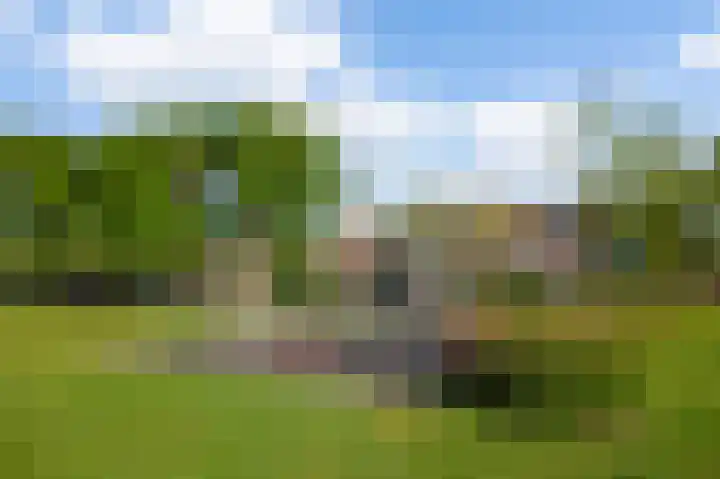 De Catoenboom 9 Amstelveen thumbnail 27