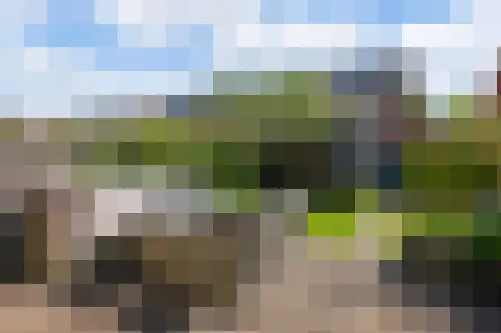 De Catoenboom 9 Amstelveen thumbnail 5