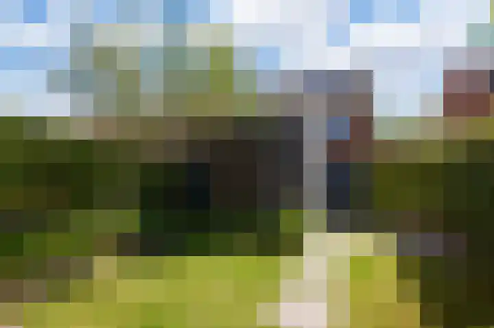 De Catoenboom 9 Amstelveen thumbnail 6
