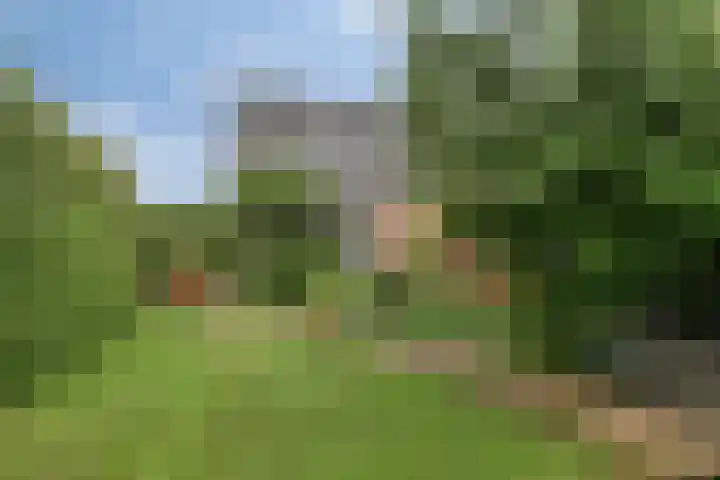 De Cavaletti 11 Dronten thumbnail 29