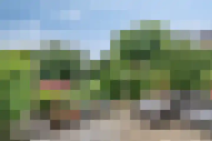 De Cavaletti 11 Dronten thumbnail 31