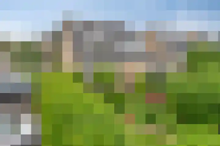 De Cavaletti 11 Dronten thumbnail 32