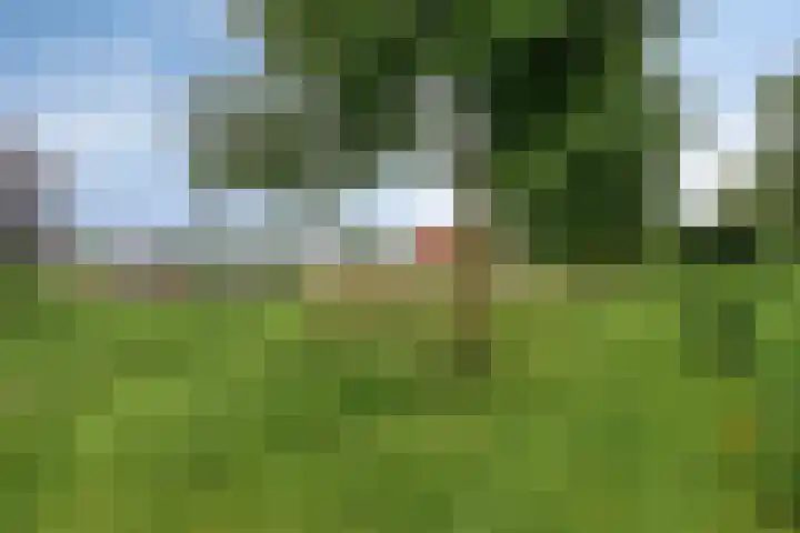 De Cavaletti 11 Dronten thumbnail 34