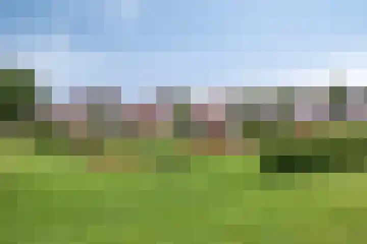 De Cavaletti 11 Dronten thumbnail 35