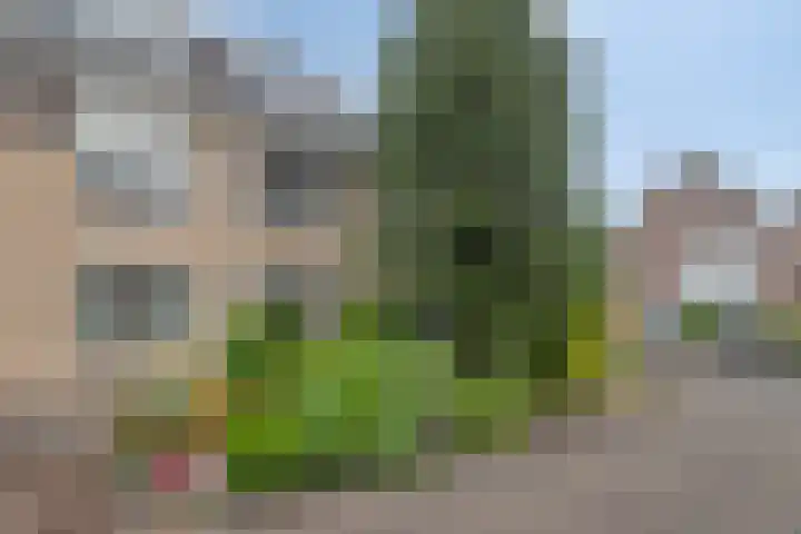 De Cavaletti 11 Dronten thumbnail 7