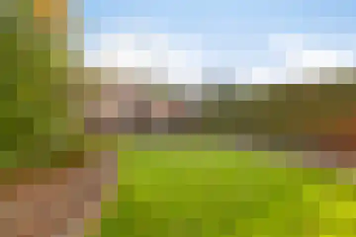De Cavaletti 8 Dronten thumbnail 37