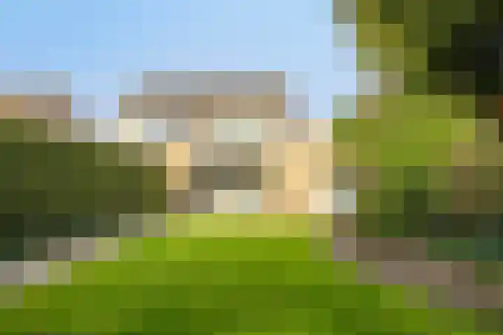 De Cavaletti 8 Dronten thumbnail 4