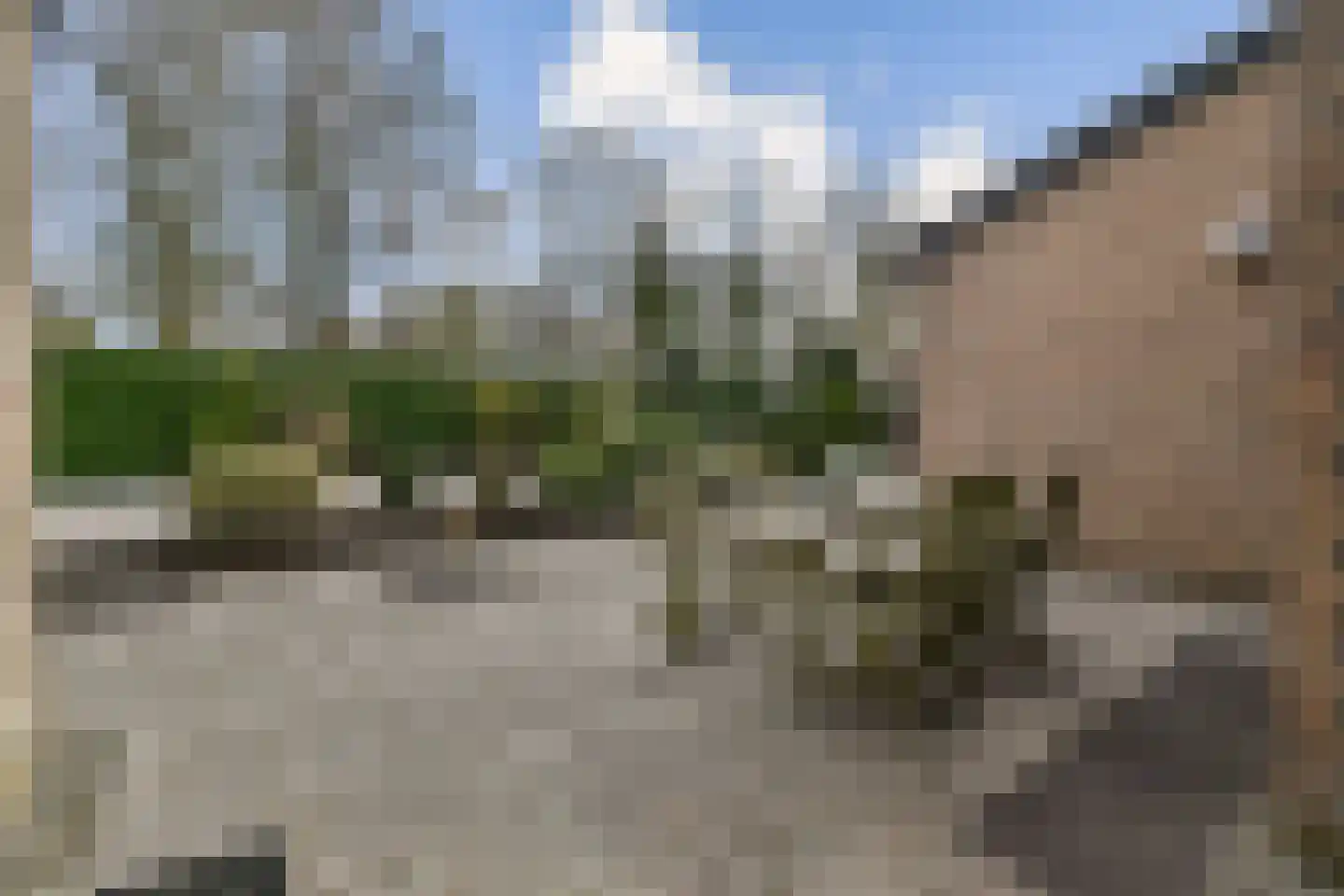 de Ceder 6 Bergschenhoek thumbnail 10