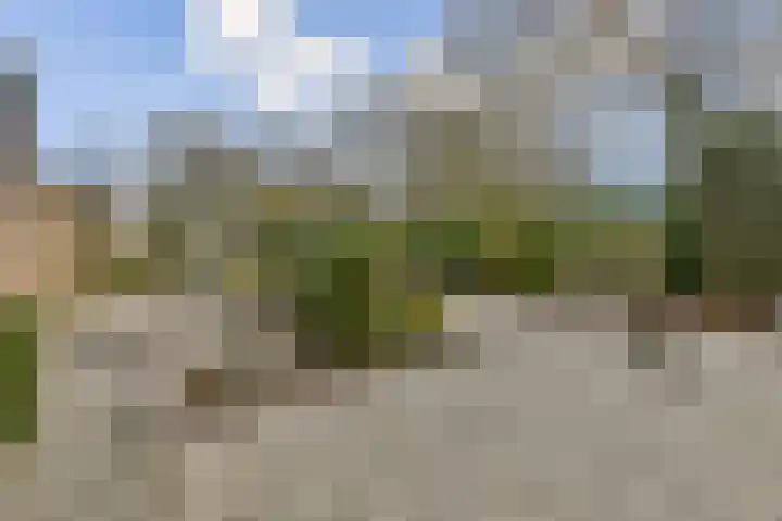 de Ceder 6 Bergschenhoek thumbnail 11